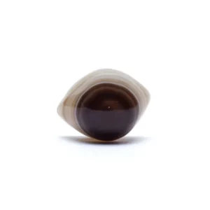 Oeil de Shiva (protection) - Agate naturelle