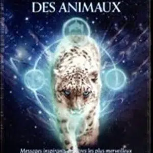 La sagesse divine des animaux - Stacey Demarco & Kinga Britschgi