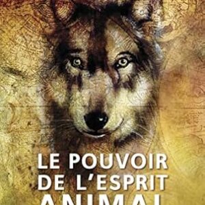 Le Pouvoir de l'esprit animal : vers un chemin de guérison - Steven D. Farmer