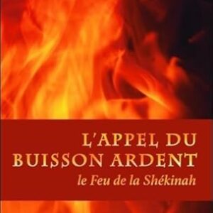 L'Appel du Buisson ardent: Le Feu de la Shékinah - Marie Elia