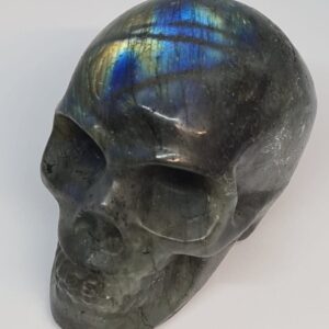 Crâne Labradorite AA - 50 à 60mm