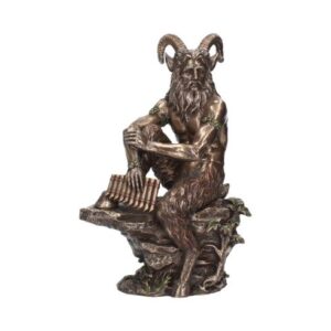 Pan - 30.5cm