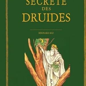 Histoire secrète des Druides - Bernard Rio