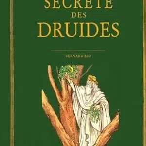 Histoire secrète des druides - Bernard Rio
