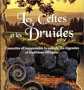 Les Celtes et les Druides - Richard Bessière