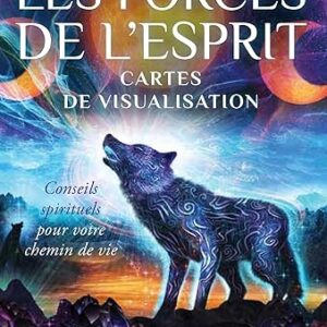 Les forces de l'esprit : cartes de visualisation - Anna Stark & Louis Dyer