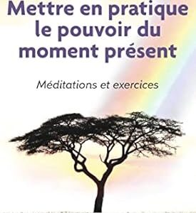 Mettre en pratique le pouvoir du moment présent - Eckhart Tolle