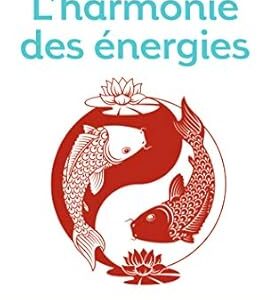 L'harmonie des énergies - Michel Odoul