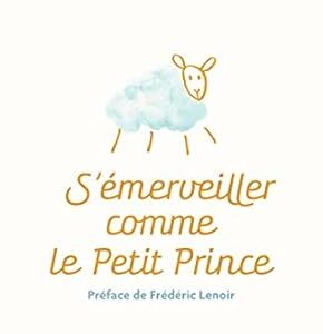 S'émerveiller comme le Petit Prince - Christine Michaud & Thomas de Koninck