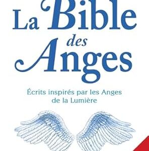 La bible des anges - Joane Flansberry