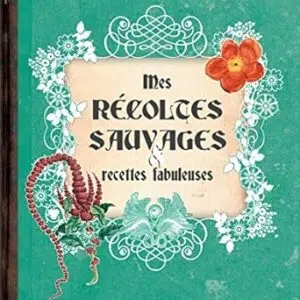 Carnet de sorcière : Mes récoltes sauvages & recettes fabuleuses  - Laurent Terrasson