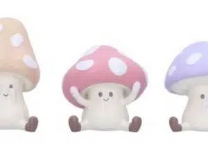 3 Champignons sagesse