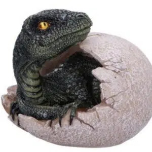 Raptor dans son oeuf - 10cm
