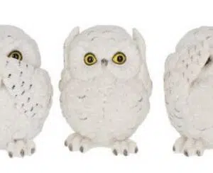 Chouettes x 3 sagesses - 8cm