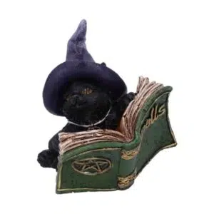 Petit chat avec grimoire vert (8.2cm)