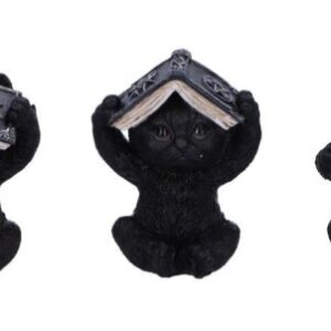 3 Sagesses Chat noir et livre pentagramme et araignée - 8,5cm