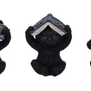 3 Sagesses : Chats noirs & Grimoire araignée - 8,5cm