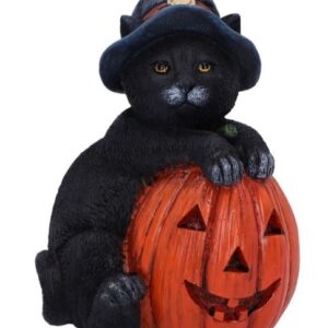 Chat sorcier et citrouille  - 13cm