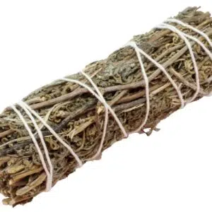 Bâton de sauge Shasta - 11cm (20-30g)