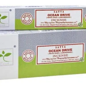 Ocean Drive (sauge blanche & citronnelle), 15g - Satya