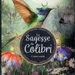 Coffret oracle la sagesse du colibri.