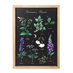 Tableau plantes toxiques 35x25 cm (bois)