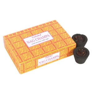 Nag Champa : 6 encens en résine sur charbon - Goloka