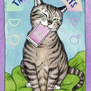 Le petit tarot des chats - Megan Lynn Kott