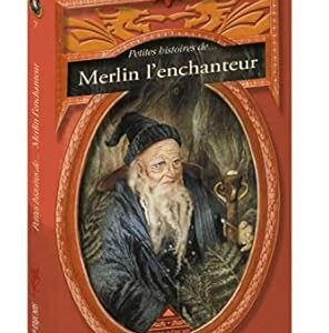 Petites histoires de Merlin l'enchanteur - Sylvie Ferdinaud