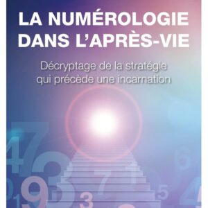 La numérologie dans l'après-vie : décryptage de la stratégie qui précède une incarnation - Denis Schneider