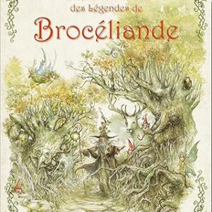 Le bel Album illustré des Légendes de Brocéliande - Xavier Husson