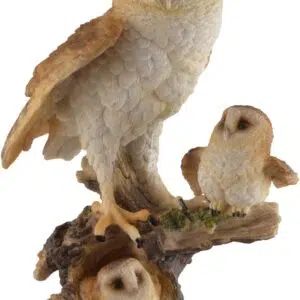 Chouette effraie sur arbre avec ses petits - 30cm