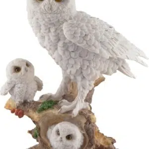 Chouette blanche sur arbre avec ses petits - 31cm