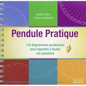 Pendule pratique : 116 diagrammes pendulaires pour répondre à toutes vos questions - Sabine Kühn