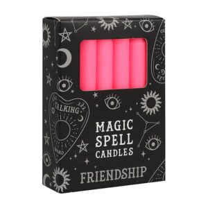 Boîte de 12 petites bougies : Rose (Amitié)