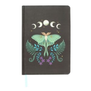 Notebook : Lune & Papillon (format A5)