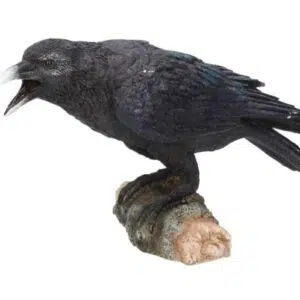 Corbeau - 20cm