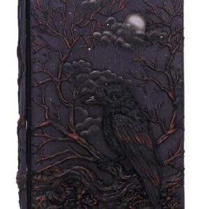 Grimoire couverture résine : Corbeau - 19cm