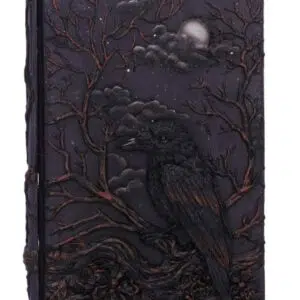 Grimoire couverture résine : Corbeau - 19cm