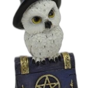 Petite chouette sur grimoire - 12,5cm