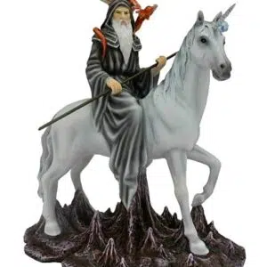 Merlin sur licorne blanche - 25 x 30cm