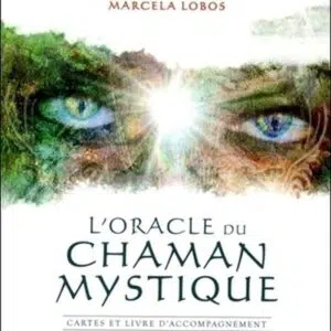 Coffret l'oracle du chaman mystique.