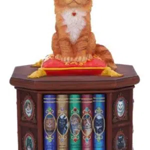 Boîte : Chat roux sur bibliothèque (Lisa Parker) - 16,5cm