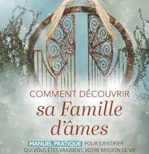 Comment découvrir sa famille d'âmes : manuel pratique pour identifier qui vous êtes vraiment, votre mission de vie et vos dons - Bruno Sbille