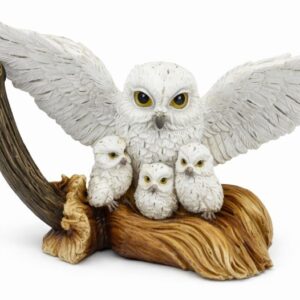 Chouette famille sur balai - 22,5 x 13,5cm