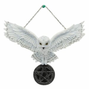 Suspension : Chouette blanche & pentacle - 26 x 20,5cm