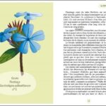Livre : ABC : Les fleurs de Bach.