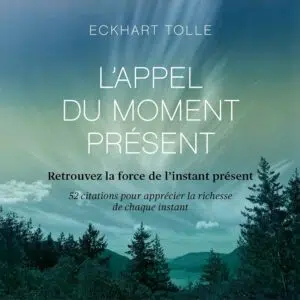 Coffret : L'Appel du moment présent d'Eckhart Tolle - 52 cartes pour calmer l'esprit et vivre dans l'ici et maintenant.