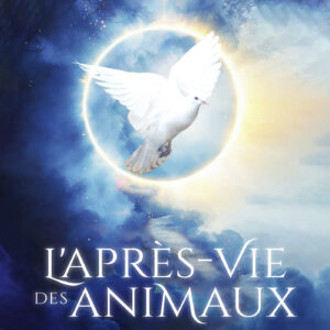 Livre : L'après-vie des animaux.