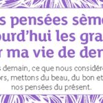 Oracle La petite boîte : Pour attirer le meilleur dans sa vie.